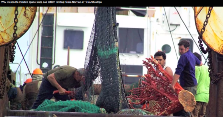 Schermafbeelding 2014-04-08 om 14.28.18