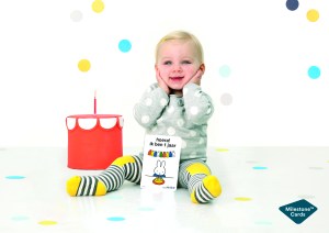 milestone baby cards nijntje miffy